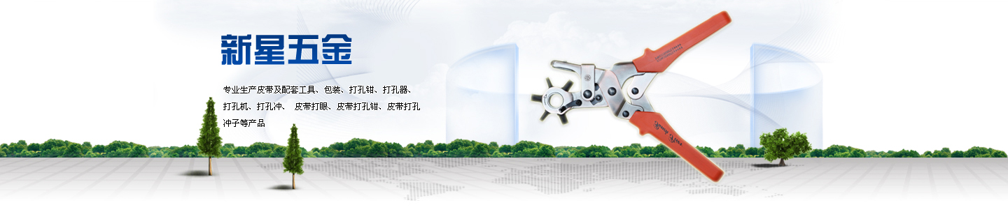 打孔鉗供應(yīng)商 打孔鉗供應(yīng)商